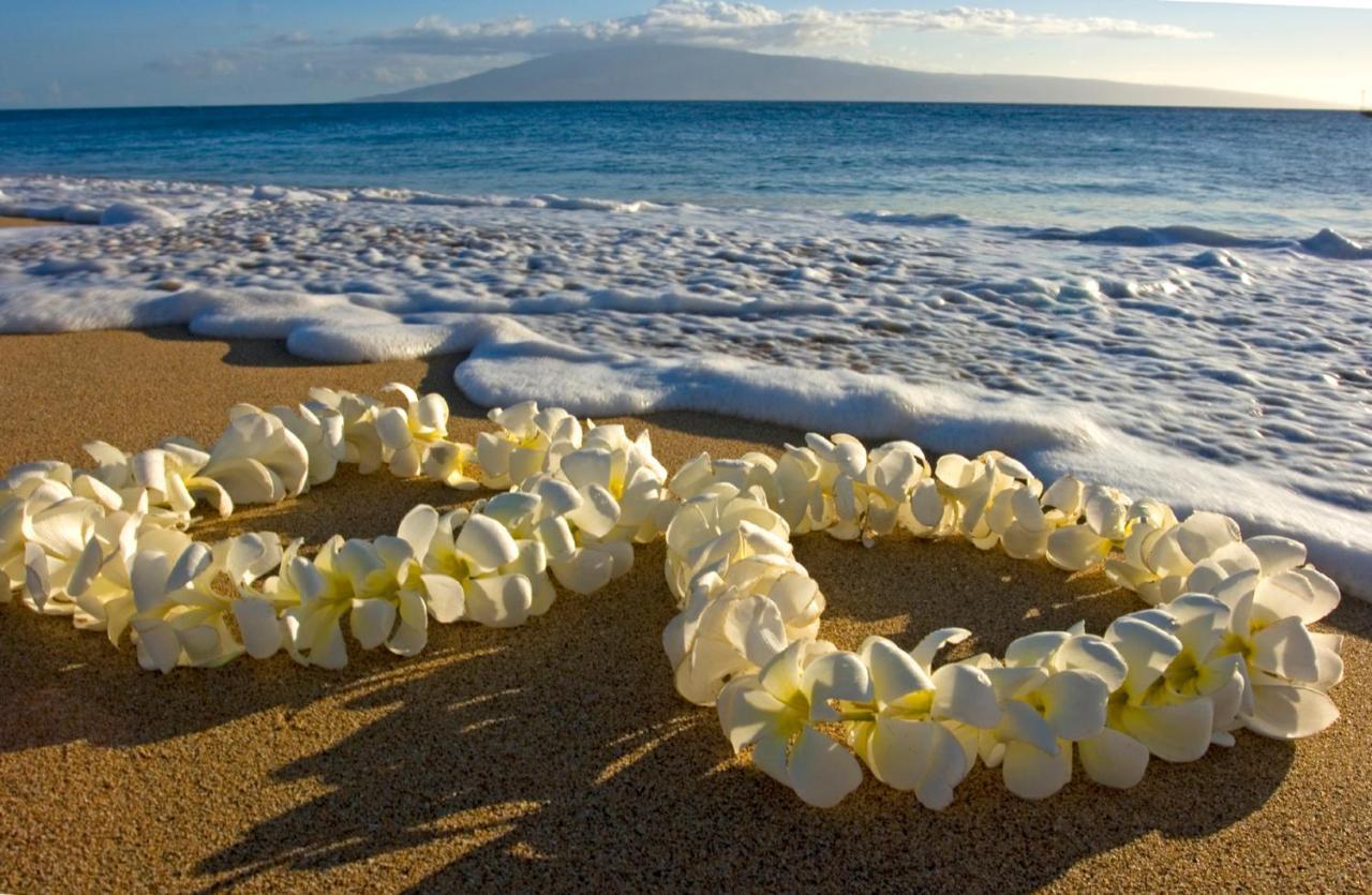 Newly Renovated Ilikai Marina Studio - Near Beach! Honolulu Bagian luar foto